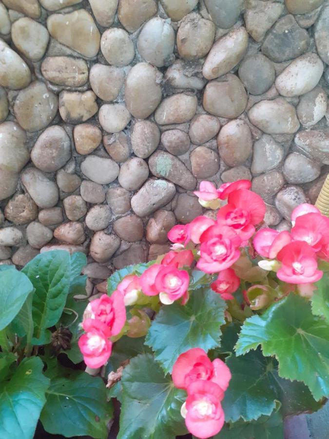 Pousada Recanto Das Flores Moitas Exterior foto